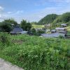 山添村の自然農法の畑（7月7日）