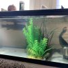 人口水草で鱒の隠れ場所を作りました