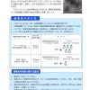 次亜塩素酸消毒液の作り方