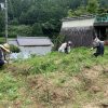 山添村の自然農法畑（7月）