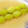 「銀杏（ぎんなん）」の関東煮（かんとだき／おでん）