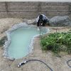 池の氷を確認する桃侍くん