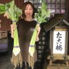 大阪野菜「若ごぼう」