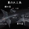 天の川を挟んだ見える牽牛星と織女星