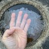 手水鉢に今年初めて氷がはりました