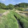 田園地帯に流れるきれいな小川