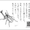 カブトムシの育て方QRと桃侍くんのイラストカード