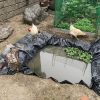 桃侍くんの田んぼ（まだ、イネはない）というか池？