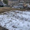 2025年2月の山添村は、畑に雪が残ってます