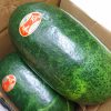 夏が旬の野菜「冬瓜（とうがん）」